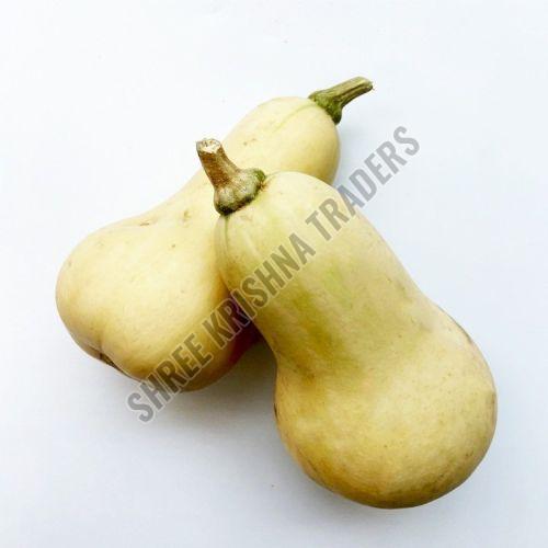 A Grade Yellow Fresh Butternut Squash