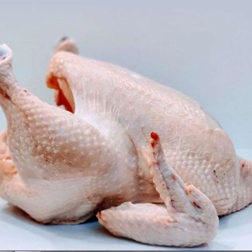 Halal Frozen Whole Chicken