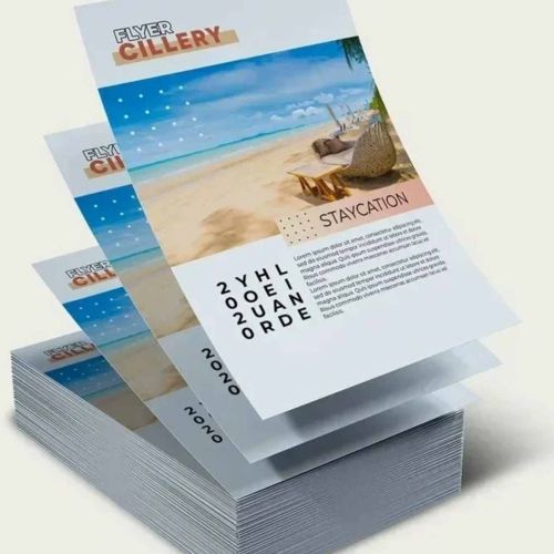 Multicolor A4 Size Pamphlet