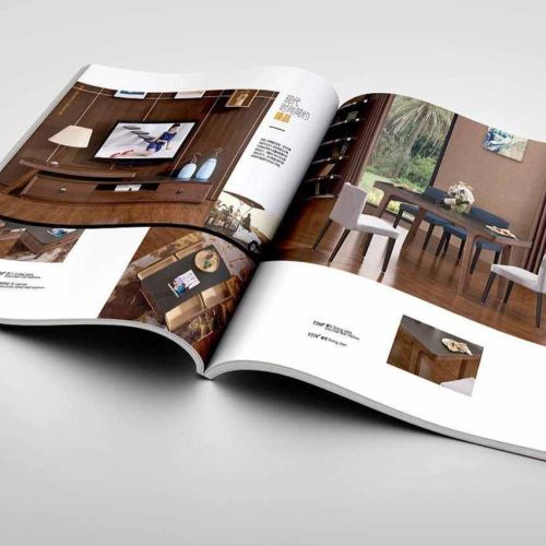 Printed Advertising Brochure