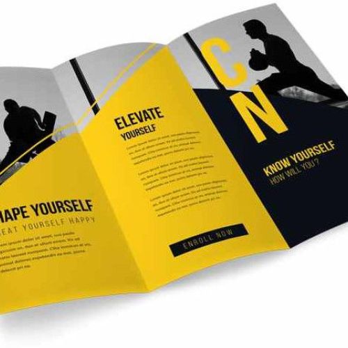 Printed Paper Advertising Brochure