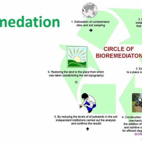 Bio Remediation Culture