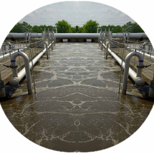G9 Odo Odor Culture