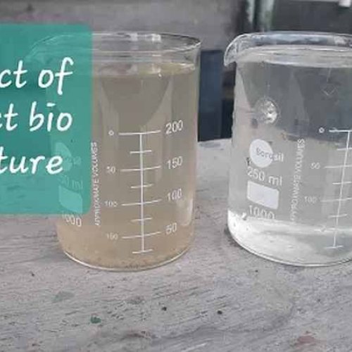 Microbact Textile Microbial Culture