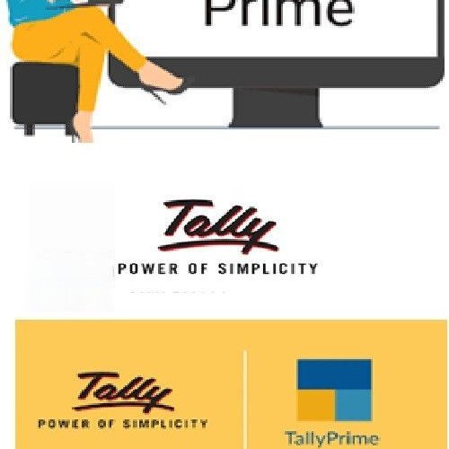 Tally Prime Accounting Software Multi User