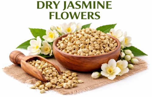 Dried Jasmine Flower
