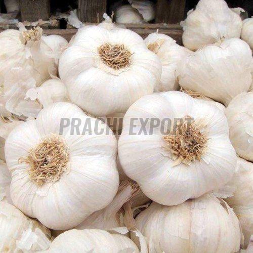 Fresh White Garlic