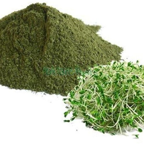 Alfalfa Leaf Powder