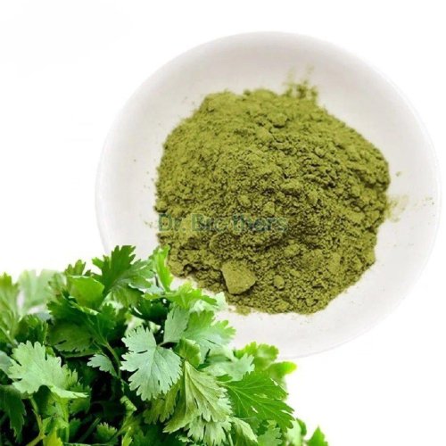 Dehydrated Coriander Powder