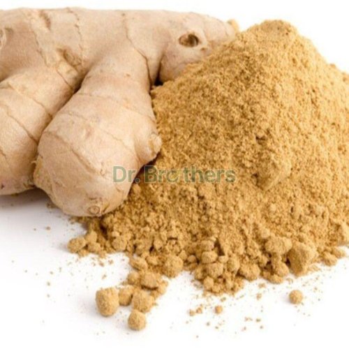 Dehydrated Ginger Powder
