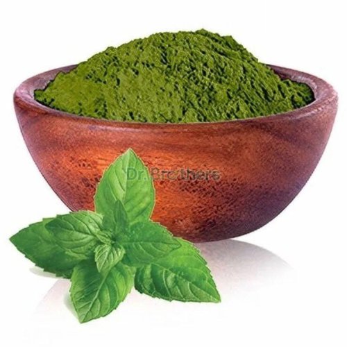 Dehydrated Mint Leaves Powder