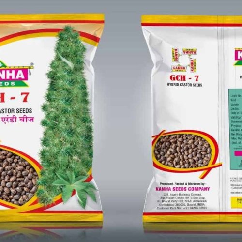 GCH7 Hybrid Castor Seed