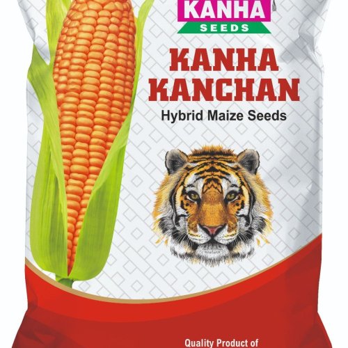 Kanha Kanchan Yellow Maize Seed