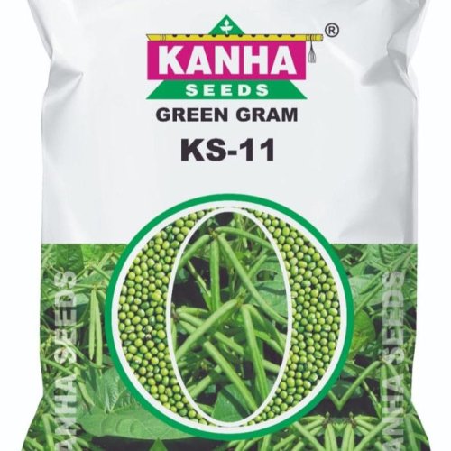 Kanha KS11 Green Gram Seed