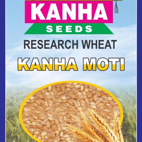 Kanha Moti Research Wheat Seed