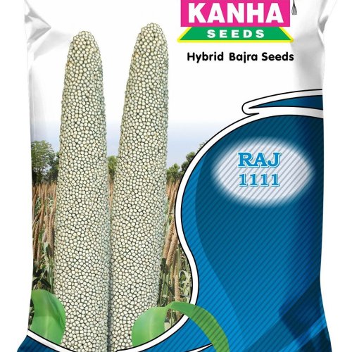 Kanha Raj 111 Hybrid Bajra Seed