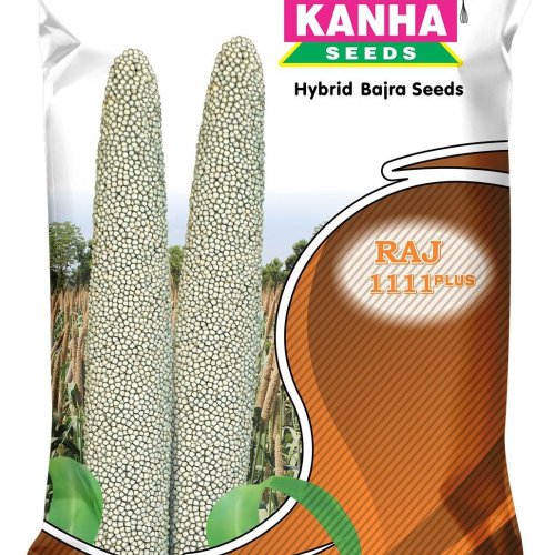 Kanha Raj 111 Plus Hybrid Bajra Seed
