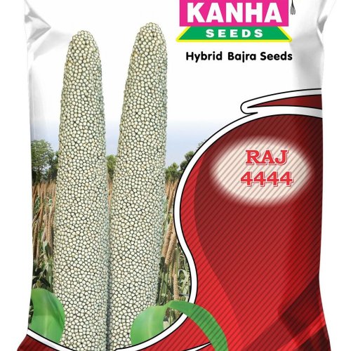 Kanha Raj 444 Hybrid Bajra Seed