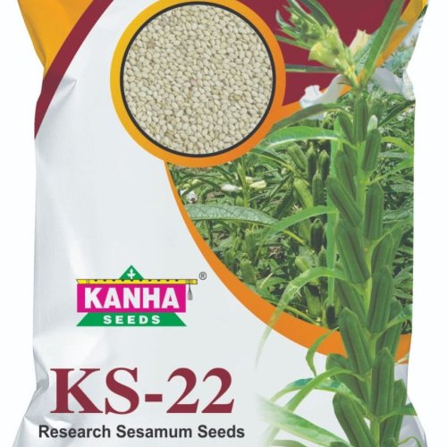 Kanha Sesamum Seed
