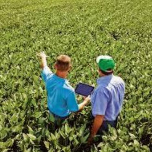 Agricultural Consultancy Services