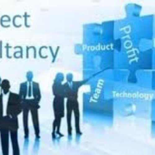 Project Consulting Services