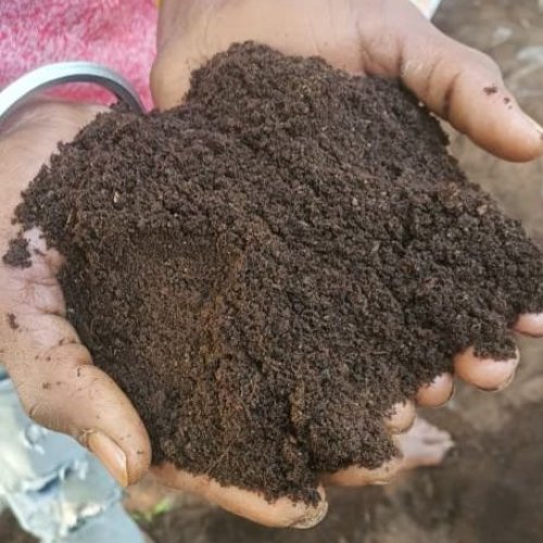 Cow Dung Vermicompost