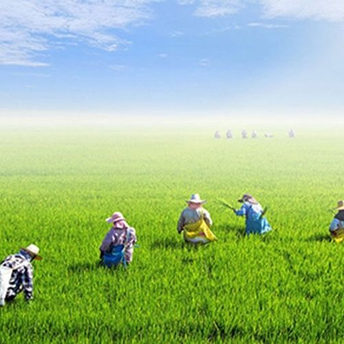 Agricultural Land Deal Services