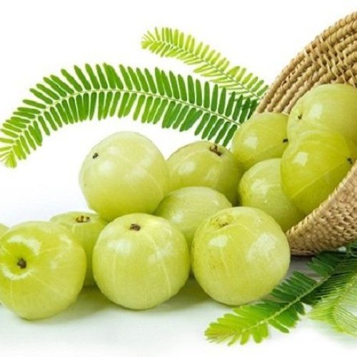 Fresh Amla