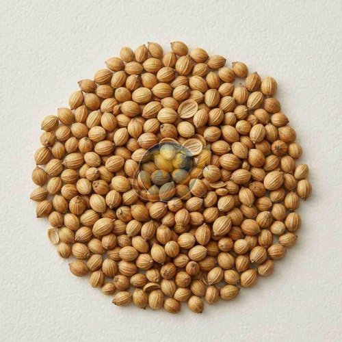 Coriander Seeds