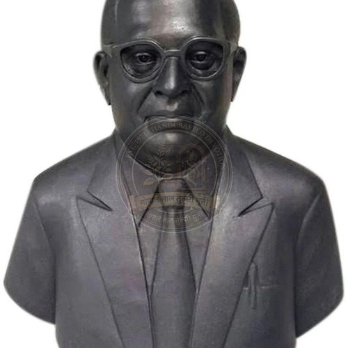 Black Marble Ambedkar Statue