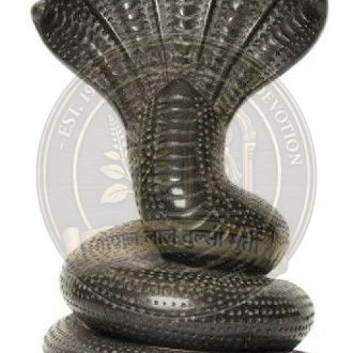 Marble Sheshnag Statue