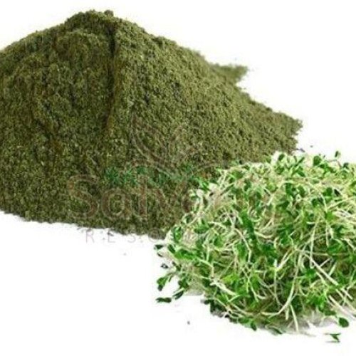 Alfalfa Leaf Powder