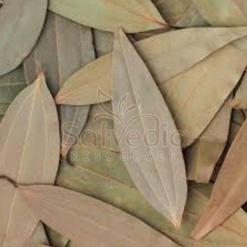 Dried Bay Leaf