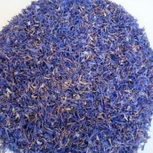 Dried Blue Cornflower