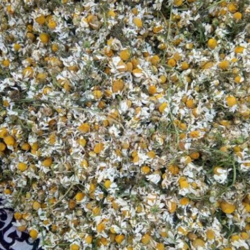 Dried Chamomile Flowers