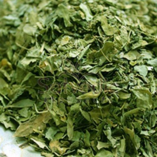 Dried Coriander Leaves