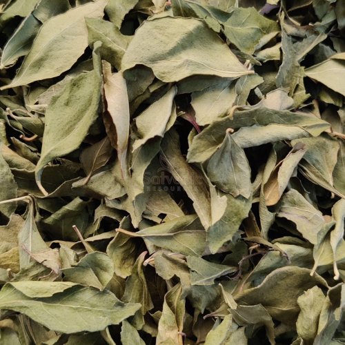 Dried Curry Leaf