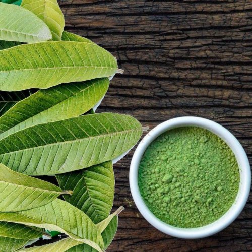 Guava Leaf Powder