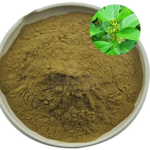 Gymnema Sylvestre Powder