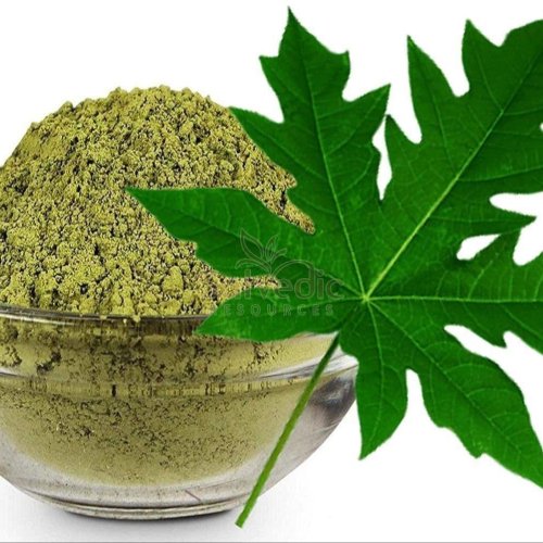 Organic Papaya Leaves