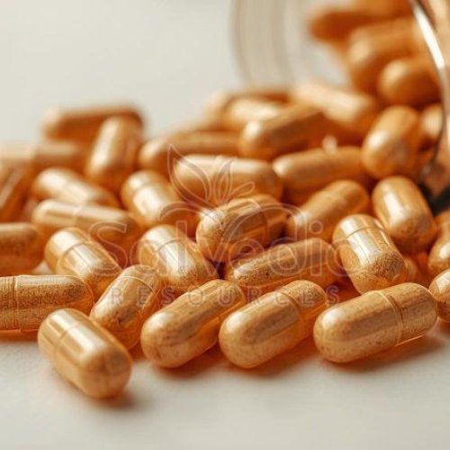 Shatavari Capsules