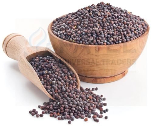 Black Mustard Seed