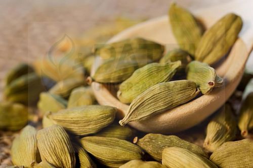 Finest Grade Organic Green Cardamom