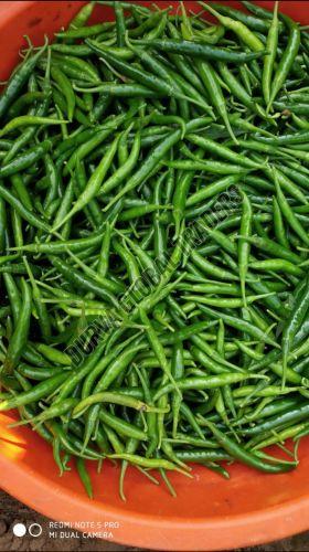 Fresh G4 Green Chilli