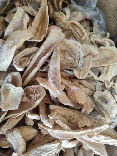 Single Golden Dried Mango Slice