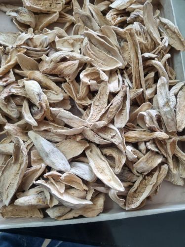 Sun Dried Mango Slice