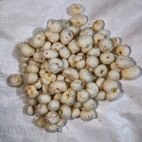 Raw Handpicked Phool Makhana