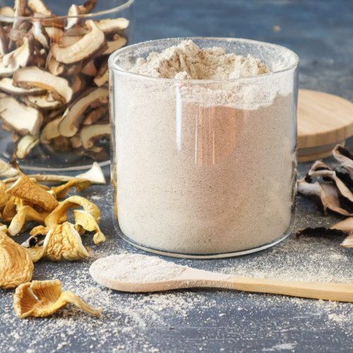 Dry Oyster Mushroom Powder
