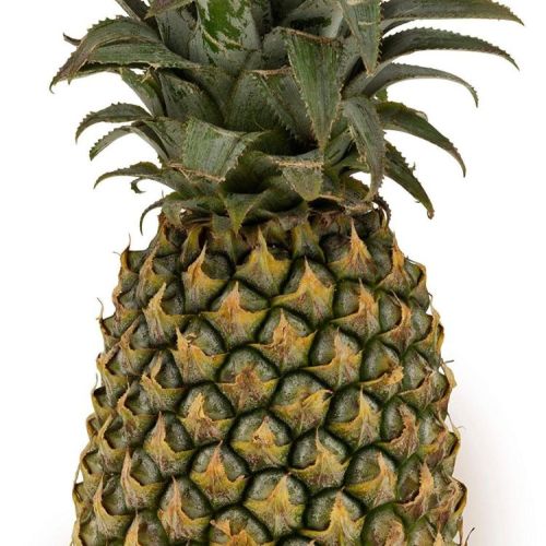 A Grade Fresh Pineapple