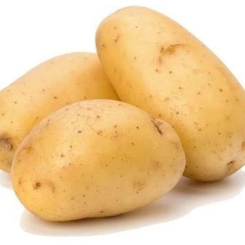A Grade Fresh Potato